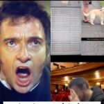 The Gregory Brothers Instagram - GET THIS DOG A TONY AWARD 🫡📈👏😭 #singingdog #memes #hughjackman #schmoyoho