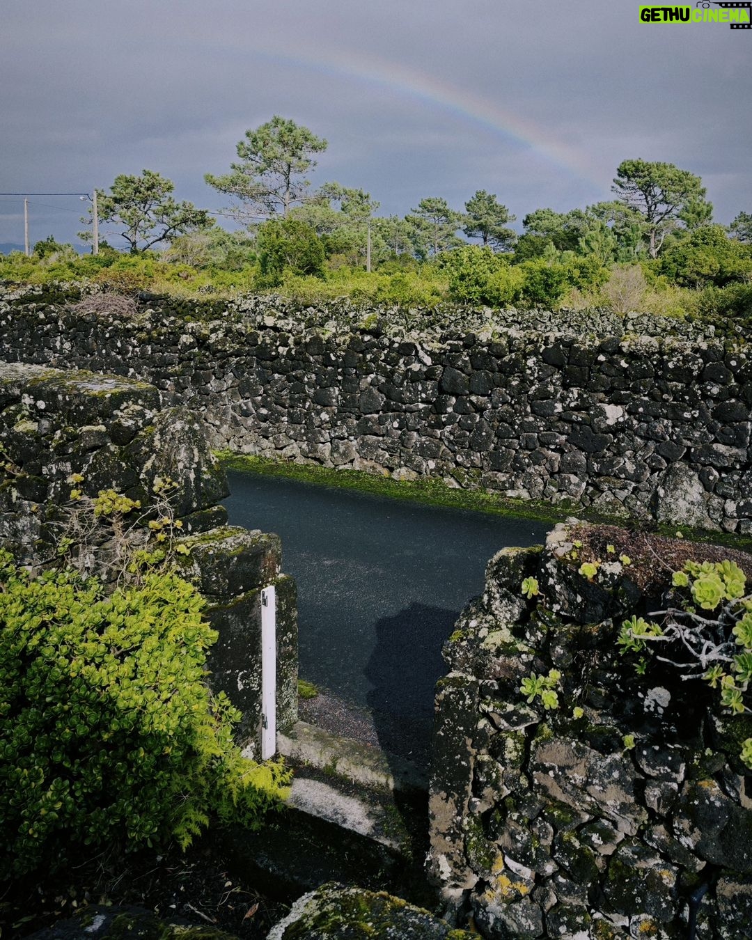 Tiago Bettencourt Instagram - Entre chuvadas 🌈 @casa3picos Ilha do Pico