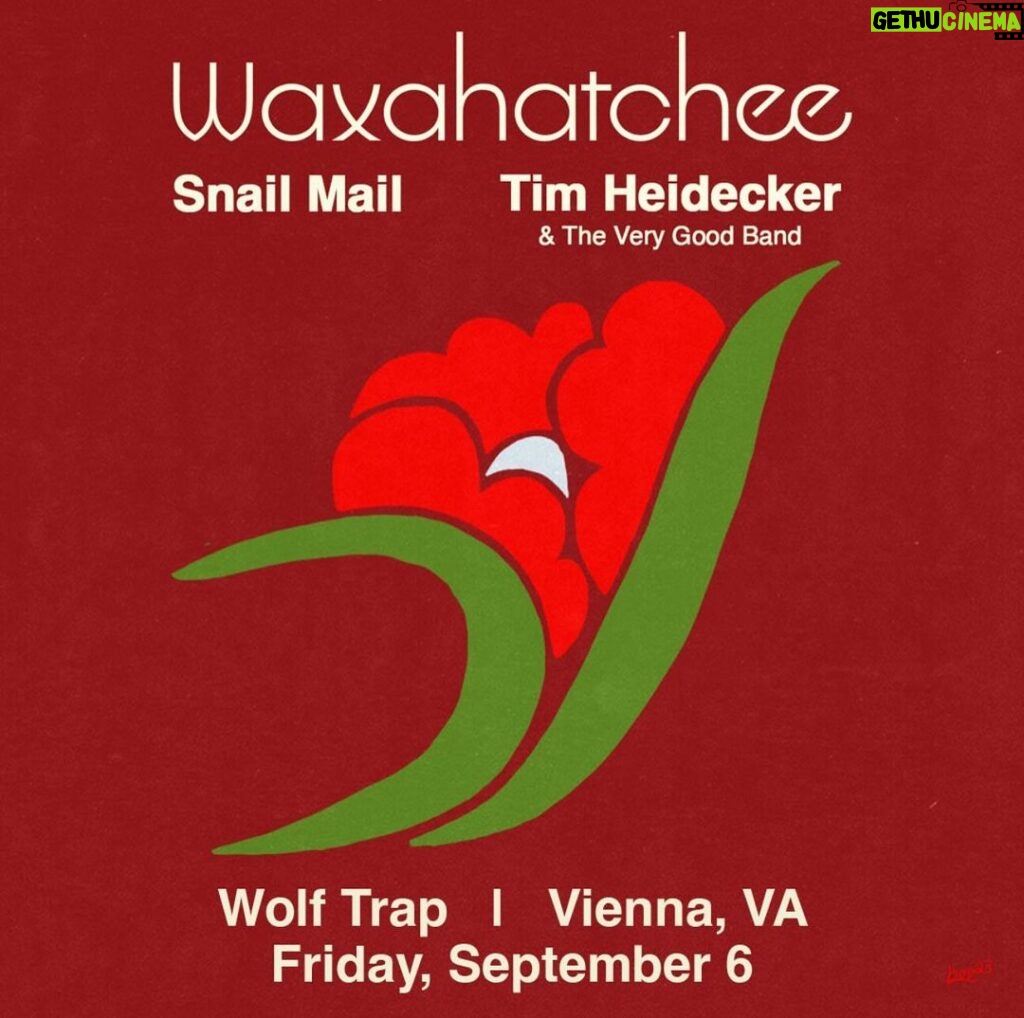 Tim Heidecker Instagram - JUST ANNOUNCED: Waxahatchee with Snail Mail and Tim Heidecker on Friday, Sep 6. Tickets go on sale to the public on Friday, Jan 12 at 10 AM. Get to the front of the line—link in bio to become a Wolf Trap member for presale access and stay tuned for more exciting summer shows coming soon. #WolfTrap #Waxahatchee #SnailMail #TimHeidecker #DCLiveMusic #DCSummerConcert #SummerConcert #WashingtonDC #DCMusic #FXVA @waxa_katie @snailmail @timheidecker