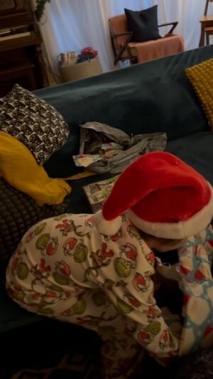 Tim Heidecker Instagram - A simply wonderful Christmas morning full of toys (junk)