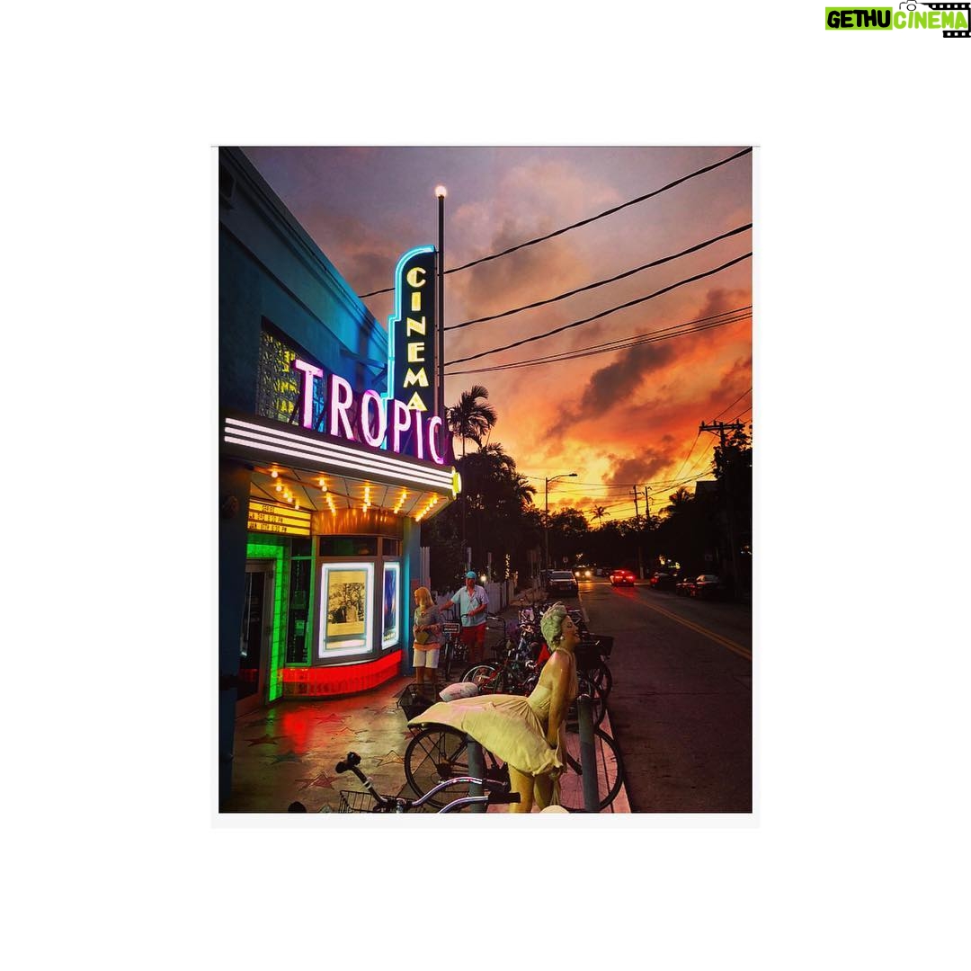 Tom Austen Instagram - Paradiso Key West, Florida
