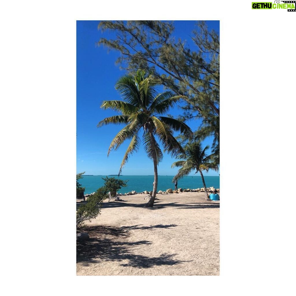 Tom Austen Instagram - Merry Christmas. Don’t be jealous. Key West, Florida