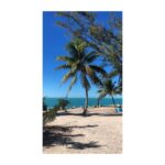 Tom Austen Instagram - Merry Christmas. Don’t be jealous. Key West, Florida
