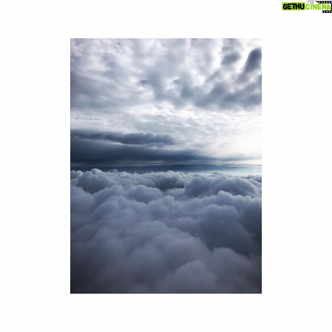 Tom Austen - 29.7K Likes - gettin amongst it