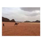 Tom Austen Instagram - 🇯🇴 Jordan_الأردن