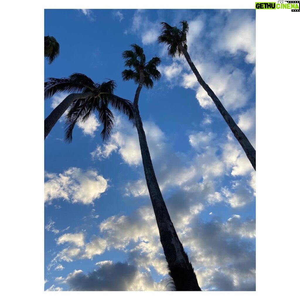 Tom Austen Instagram - Pt. 2 Hawaii