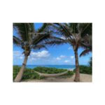 Tom Austen Instagram – Hawaii Pt 1