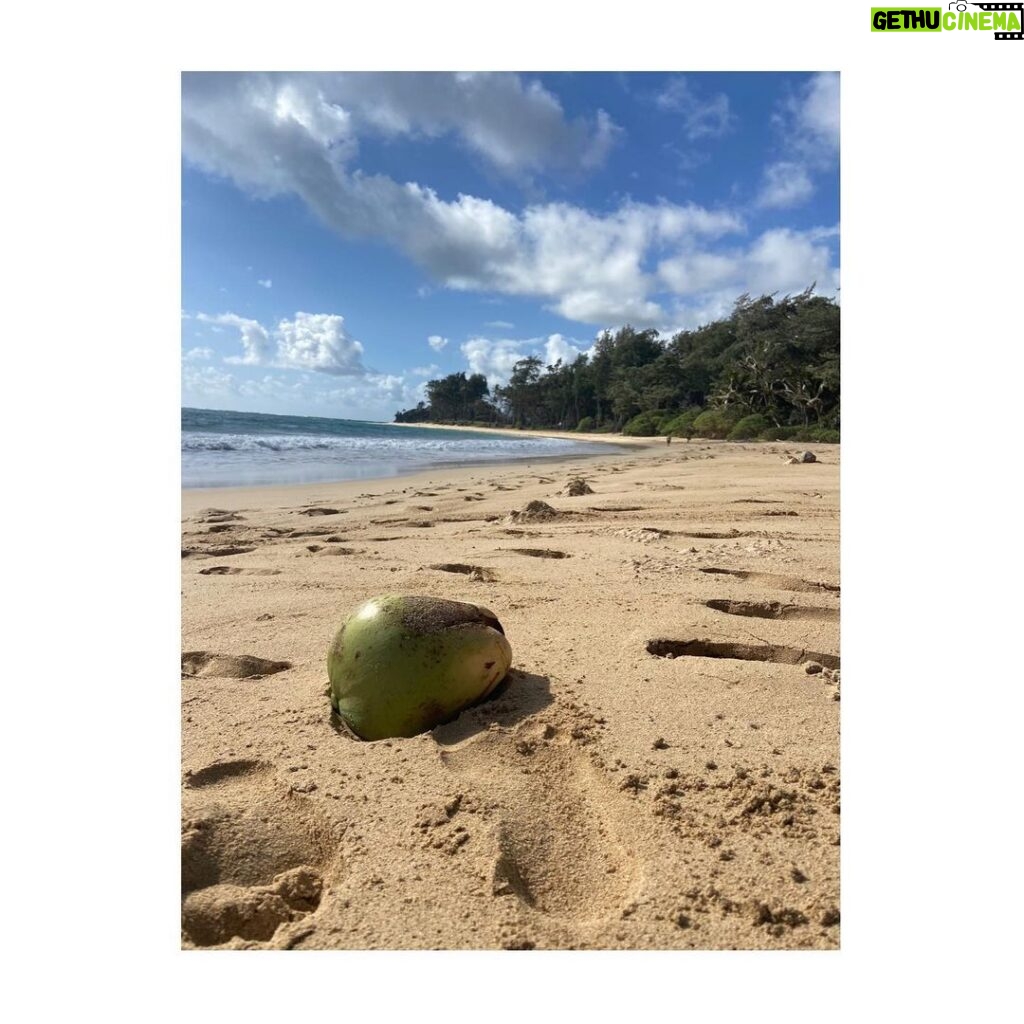 Tom Austen Instagram - Hawaii Pt 1