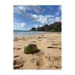 Tom Austen Instagram – Hawaii Pt 1