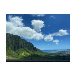Tom Austen Instagram - Hawaii Pt 1