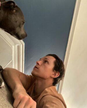 Tom Holland Instagram - 