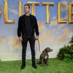 Tom Holland Instagram - Talk about a flex #mydogscoolerthanyours