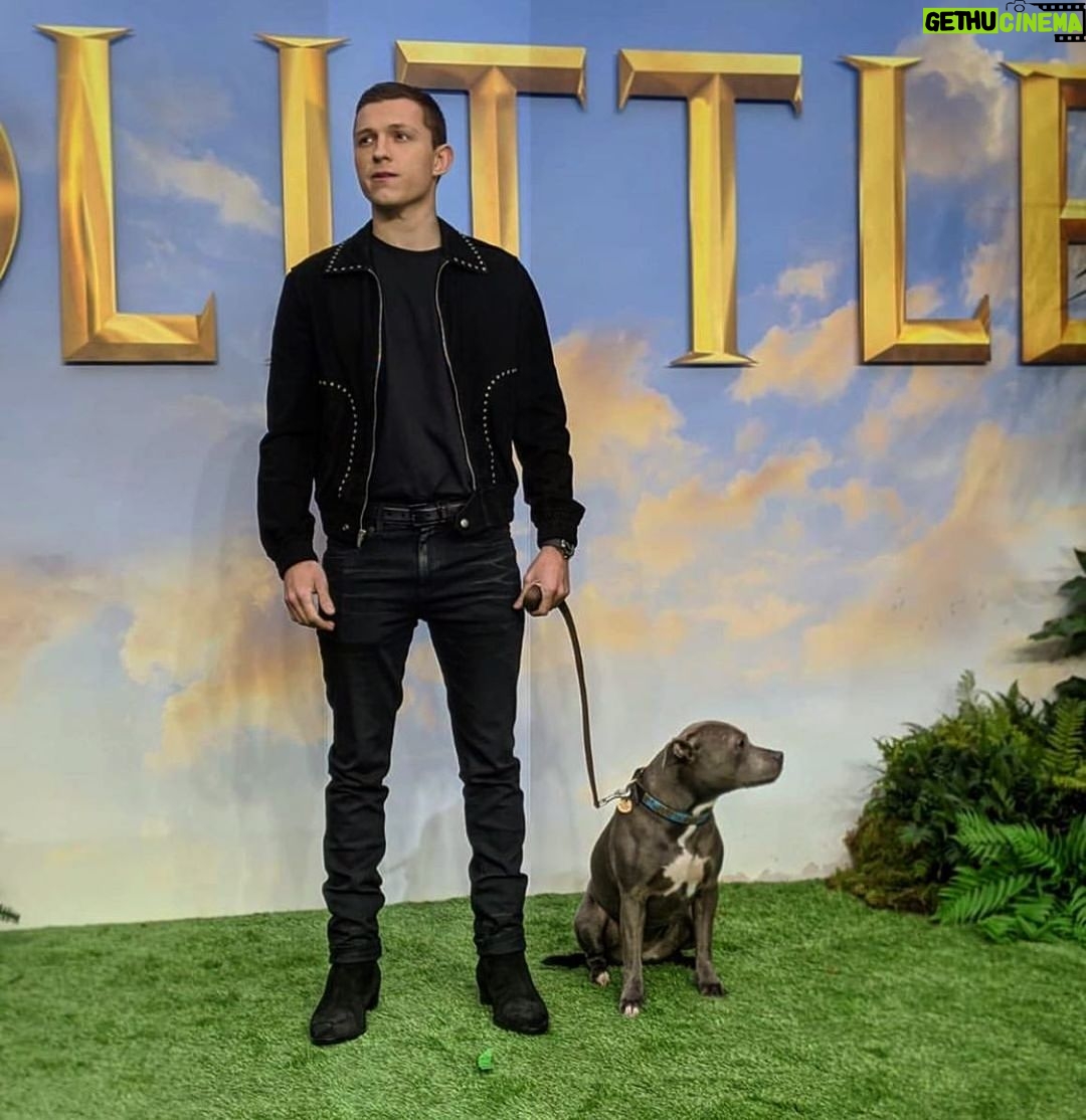 Tom Holland Instagram - Talk about a flex #mydogscoolerthanyours