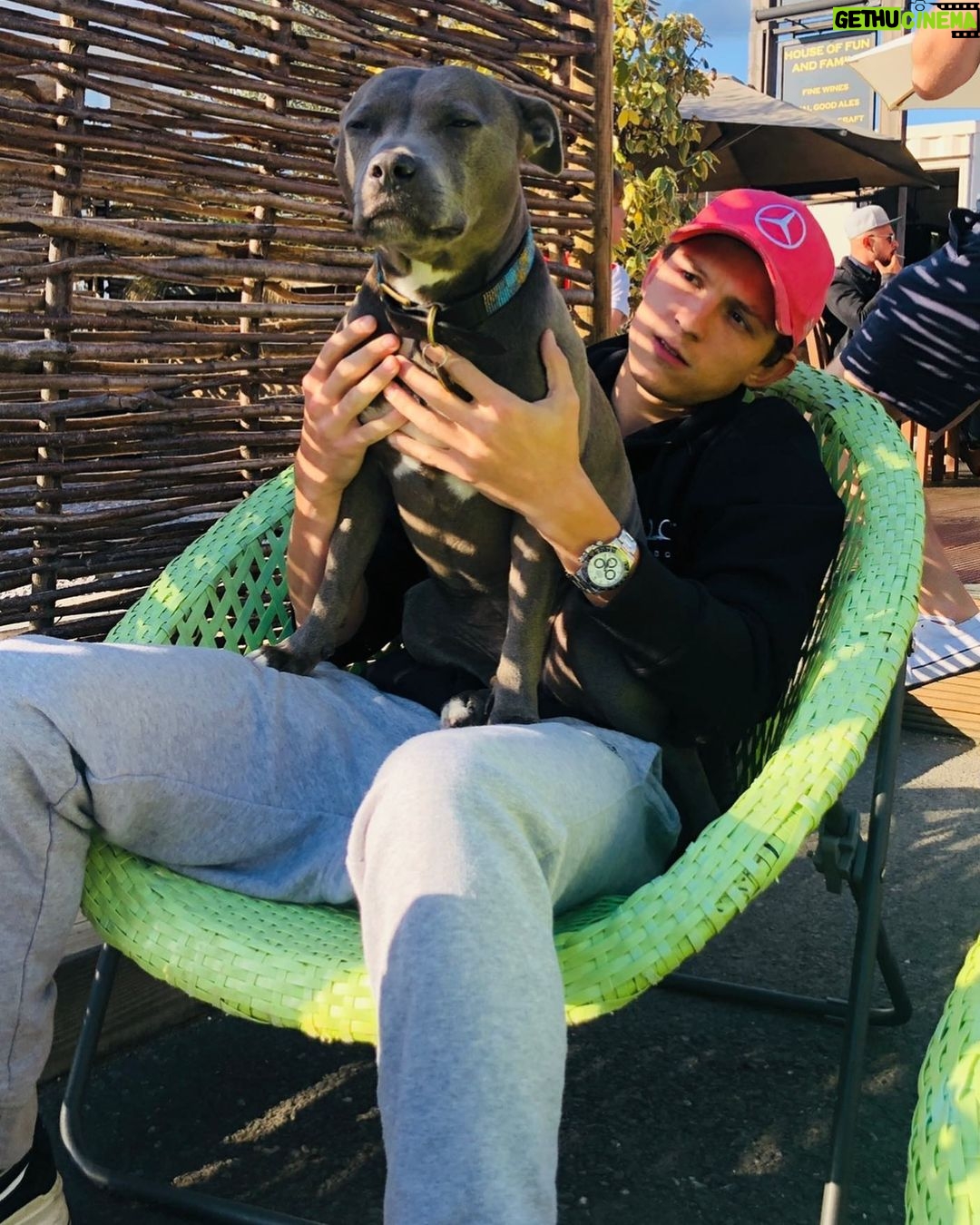 Tom Holland Instagram - My Pooch and Me. Off now to go begin my latest venture with the @therussobrothers ✌🏼 I’m going to be taking a short break from instagram, so see you all in the not so distant future ❤️