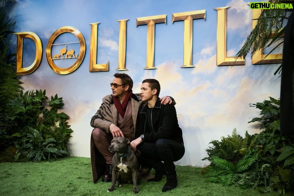 Tom Holland Instagram - So much fun this morning at the Doolittle London premier. I think it’s safe to say that Tessa stole the show. Big love to the big man @robertdowneyjr and head to the link in my bio to get your pooch a brothers trust dogs collar.