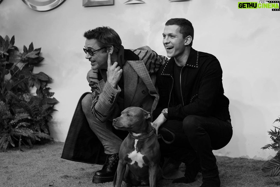 Tom Holland Instagram - So much fun this morning at the Doolittle London premier. I think it’s safe to say that Tessa stole the show. Big love to the big man @robertdowneyjr and head to the link in my bio to get your pooch a brothers trust dogs collar.