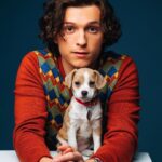 Tom Holland Instagram - In honour of the release of the @unchartedmovie … I present to you… puppies
