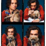 Tom Holland Instagram - In honour of the release of the @unchartedmovie … I present to you… puppies