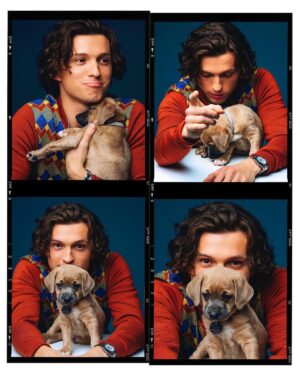 Tom Holland Instagram - In honour of the release of the @unchartedmovie … I present to you… puppies