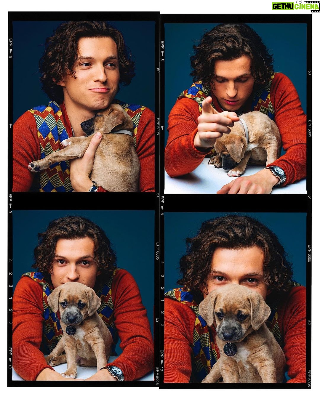 Tom Holland - 18.3 Million Likes - In honour of the release of the @unchartedmovie … I present to you… puppies