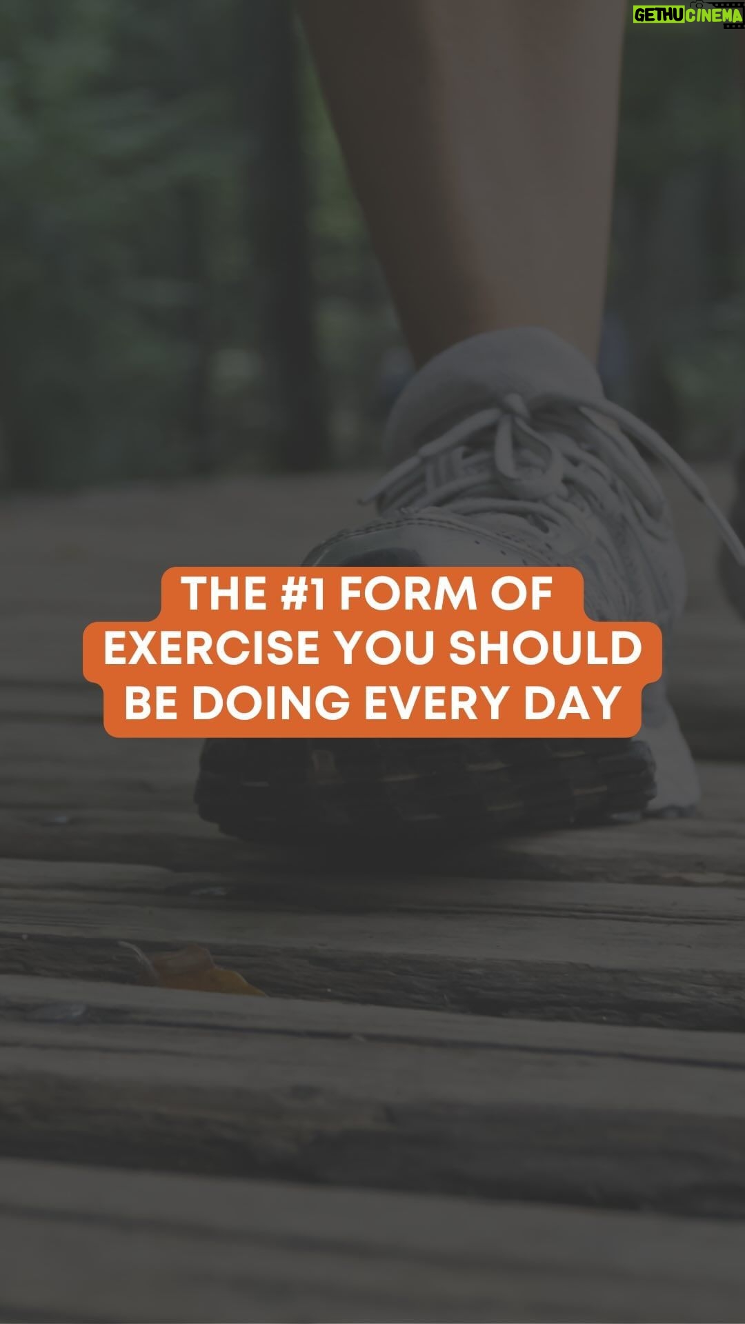 Tony Horton Instagram - Here’s why I’m lacing up and hitting the pavement: -Walking ignites your metabolism -It’s a powerful stress-reliever -Regular walks significantly improve your cardiovascular health -It provides a low impact, gentle on the joints workout -Walking triggers the release of endorphins, your natural mood lifters -No equipment needed! It’s the most accessible form of exercise Drop a 👟 in the comments below if you’re lacing up for 30 minutes today! #TonyHorton #P90X #FitnessGoals #TonyHortonFitness #PowerNation #Powerof4 #FitnessMotivation #FitnessGoals #Fitness #Muscle #Energy #Motivation