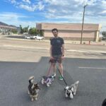 Tony Horton Instagram – Doggie potty and dinner break on our road trip. 🐾