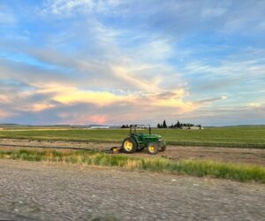 Tony Horton Instagram - We are not in LA anymore! To me this is heaven! Are you a city person or a country person?  #heaven #countrylife #peace