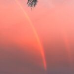 Tony Horton Instagram - Double rainbows and double sunsets?? Never have I ever…