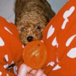 Uditi Singh Instagram – Life lately