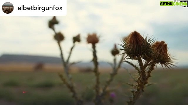 Ulvi Kahyaoğlu Instagram - Posted @withregram • @elbetbirgunfox “Benim çok huzurlu bir hayatım var, mahvedemem.” #ElbetBirGün'ün ilk fragmanı yayında! 🥳 @foxturkiye