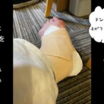VaVa Instagram - LIVEの1曲目で足の筋肉をちぎった男 森、道、市場