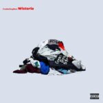 VaVa Instagram - CreativeDrugStore 1st Album "Wisteria"