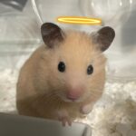 VaVa Instagram - 2023年、みんなにとって 幸せな年でありますように✌️