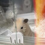 VaVa Instagram - 夢に形を与えていく過程で 人は初めて自分の形に気づいていく。 いびつなところも愛していこう。 ⁡ ⁡ 　　／⌒ヽ 　 ∩ ＾ω＾）　 　 |　　 ⊂ﾉ 　｜　　 _⊃ 　 し ⌒
