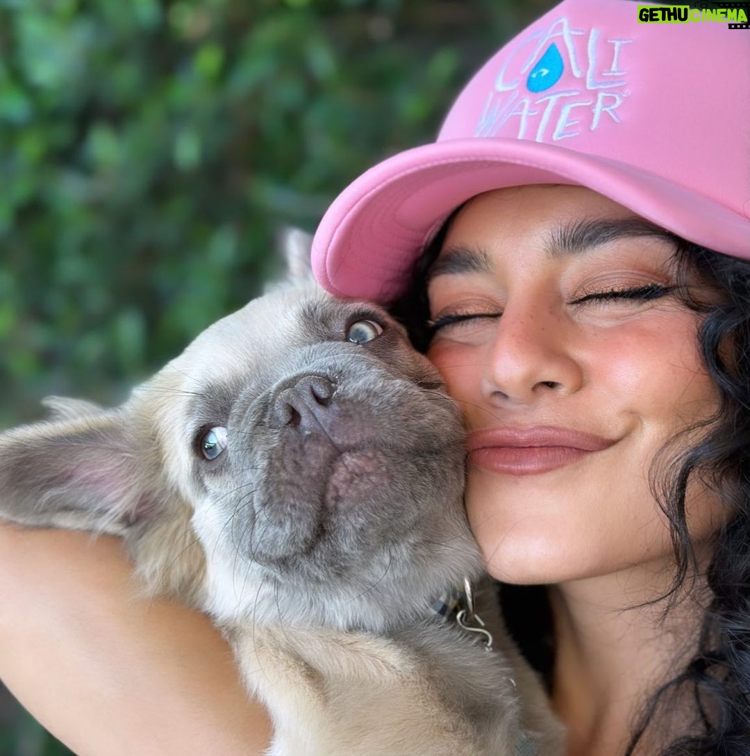 Vanessa Hudgens Instagram - Our newest @caliwater member 🥹😂 @olivertrevena