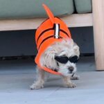 Vanessa Hudgens Instagram - She hates it but. It’s a vibe.