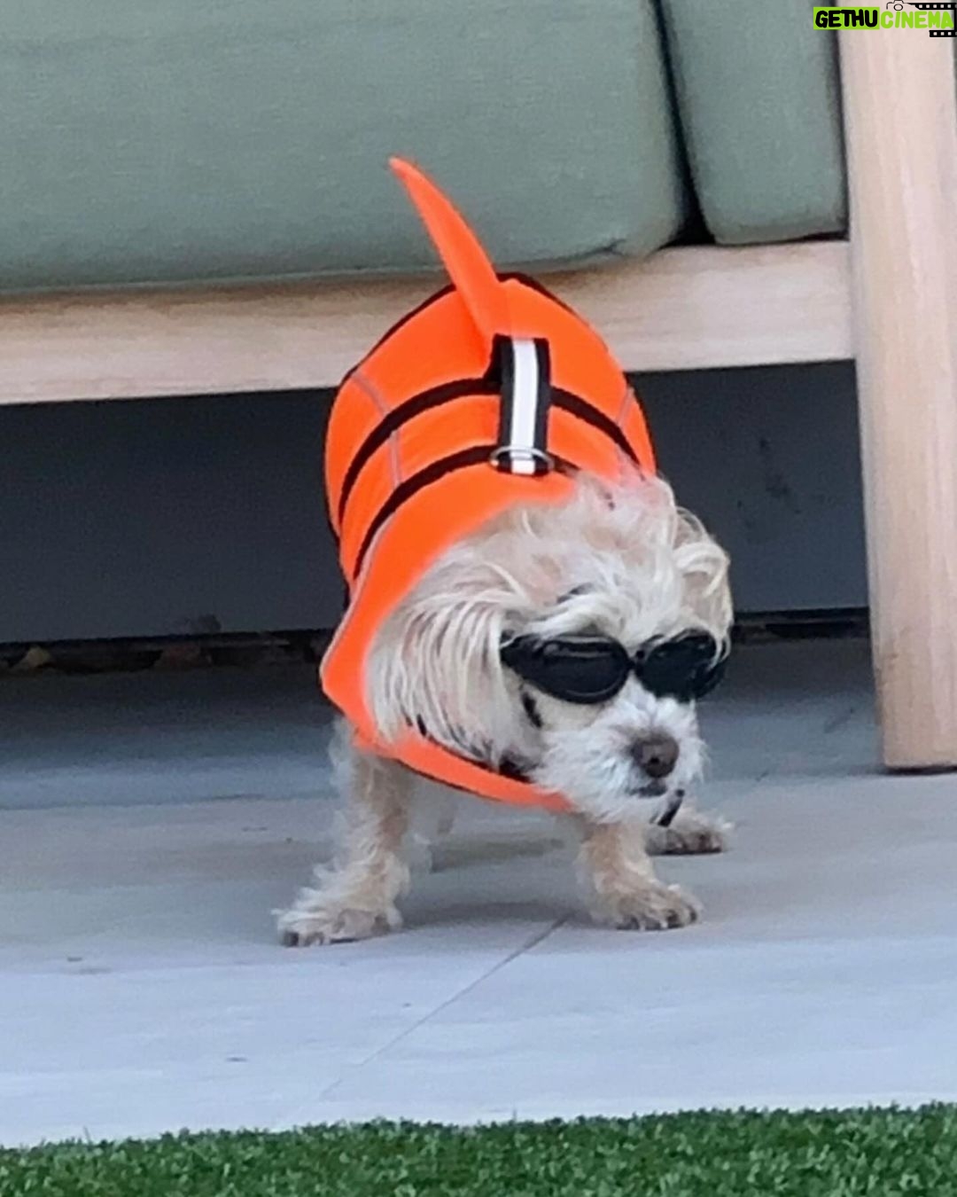 Vanessa Hudgens Instagram - She hates it but. It’s a vibe.