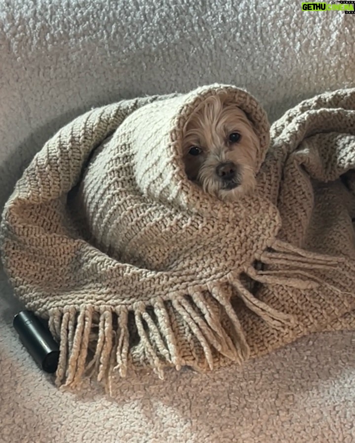 Vanessa Hudgens Instagram - My little babushka 🥰