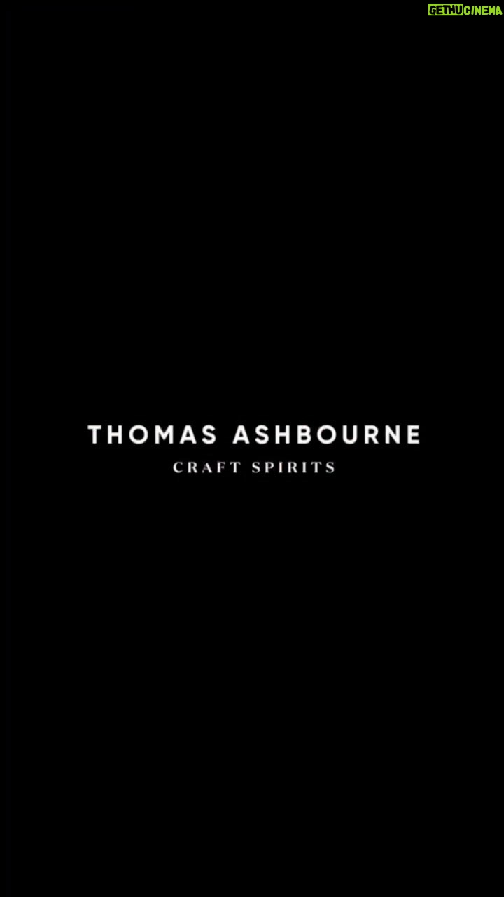 Vanessa Hudgens Instagram - Never show up empty handed. Make @thomasashbourne your official plus one this party season