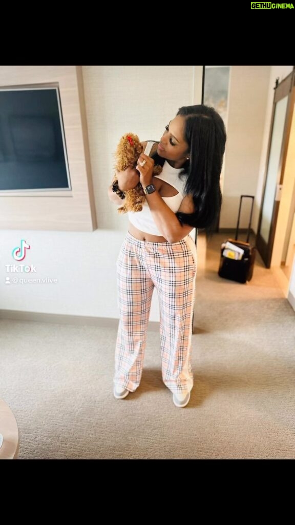 Vanity Alpough Instagram - Zoey and I finally found our Furbaby🐾 Please HELP us name her she’s been going by “Hey” for the past couple of weeks😂