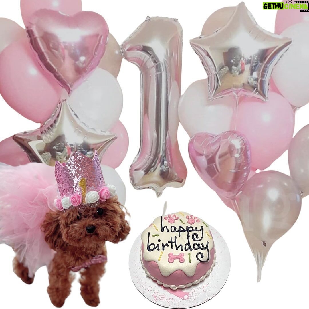 Vanity Alpough Instagram - Help me wish Piper a very Happy 1rst Birthday by following her Instagram page @pipersworld_perks