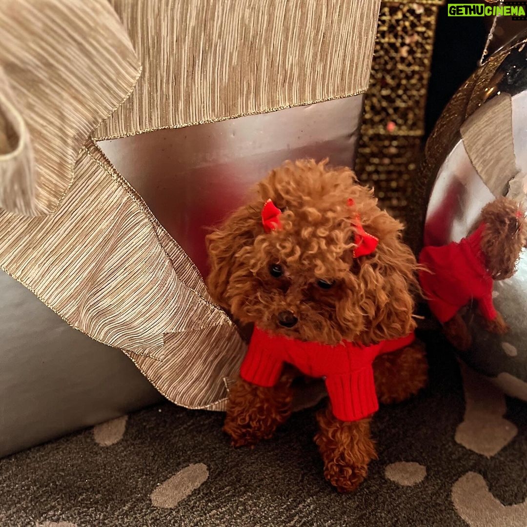 Vanity Alpough Instagram - Help me wish Piper a very Happy 1rst Birthday by following her Instagram page @pipersworld_perks