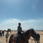 Vera Kolodzig Instagram – Dia 13:
Conhecida como a “Cidade Ventosa de África”, Essaouira atrai muitos kitesurfers durante o ano inteiro, no entanto há muito mais do que o areal a perder de vista, ou o cenário do Game of Thrones. O sultão Mohammed Ben Abdallah instalou-se aqui no século XVIII e contratou um arquitecto francês para desenhar uma cidade no meio do vento e da areia onde nada existia antes. Originalmente chamada de Mogador, o sultão mudou o nome para Essaouira que significa “bem desenhado”, com a sua mistura única de estilo marroquino e europeu.
Chegámos ontem à noite, já com mesa marcada num restaurante sugerido por um amigo, onde reencontrámos a amiga que fizemos em Tarifa na noite antes de iniciarmos a viagem. Acabámos num nightclub onde uma troca de olhares nos levou a conhecer os melhores guias que podíamos desejar.
A manhã de hoje foi na praia, com um mergulho salgado para lavar a alma. Surgiu então a possibilidade de ir à lota comprar o marisco mais fresco que alguma vez vi. Ao passar o arco do kasbah parecia todo um novo mundo, com as embarcações já atracadas e dezenas de pessoas a vender o que pescaram de manhã, enquanto as crianças se atiravam dos muros da fortaleza para o mar. Foi neste momento que decidi que se há locais para abrir excepções à minha habitual dieta, este é um deles, ainda assim mantendo os meus princípios – saúde e sustentabilidade. Duas lagostas, um caranguejo, camarões e uma conserva caseira, por 500dhr negociados pelos nossos amigos marroquinos. Depois levaram-nos pelo labirinto da medina até um terraço onde apenas famílias locais se deliciavam. Entregámos as nossas compras, e uma hora depois tínhamos uma mesa repleta das mais incríveis iguarias, por mais 60dhr – o custo do “aluguer” de um espacinho na grelha. 
Uma experiência que ficará para sempre nas nossas memórias e nos nossos corações, já com uma pequena nostalgia de uma despedida para breve.
Amanhã começamos a subir, de barriga cheia e inshallah sem caganeira!
.
.
.
#roadtrip #morocco #essaouira #localexperience #instatravel #seafood Essaouira – Mogador – الصويرة