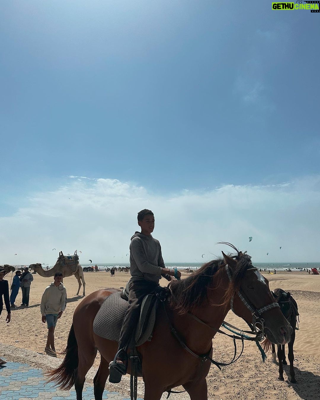Vera Kolodzig Instagram - Dia 13: Conhecida como a “Cidade Ventosa de África”, Essaouira atrai muitos kitesurfers durante o ano inteiro, no entanto há muito mais do que o areal a perder de vista, ou o cenário do Game of Thrones. O sultão Mohammed Ben Abdallah instalou-se aqui no século XVIII e contratou um arquitecto francês para desenhar uma cidade no meio do vento e da areia onde nada existia antes. Originalmente chamada de Mogador, o sultão mudou o nome para Essaouira que significa “bem desenhado”, com a sua mistura única de estilo marroquino e europeu. Chegámos ontem à noite, já com mesa marcada num restaurante sugerido por um amigo, onde reencontrámos a amiga que fizemos em Tarifa na noite antes de iniciarmos a viagem. Acabámos num nightclub onde uma troca de olhares nos levou a conhecer os melhores guias que podíamos desejar. A manhã de hoje foi na praia, com um mergulho salgado para lavar a alma. Surgiu então a possibilidade de ir à lota comprar o marisco mais fresco que alguma vez vi. Ao passar o arco do kasbah parecia todo um novo mundo, com as embarcações já atracadas e dezenas de pessoas a vender o que pescaram de manhã, enquanto as crianças se atiravam dos muros da fortaleza para o mar. Foi neste momento que decidi que se há locais para abrir excepções à minha habitual dieta, este é um deles, ainda assim mantendo os meus princípios - saúde e sustentabilidade. Duas lagostas, um caranguejo, camarões e uma conserva caseira, por 500dhr negociados pelos nossos amigos marroquinos. Depois levaram-nos pelo labirinto da medina até um terraço onde apenas famílias locais se deliciavam. Entregámos as nossas compras, e uma hora depois tínhamos uma mesa repleta das mais incríveis iguarias, por mais 60dhr - o custo do “aluguer” de um espacinho na grelha. Uma experiência que ficará para sempre nas nossas memórias e nos nossos corações, já com uma pequena nostalgia de uma despedida para breve. Amanhã começamos a subir, de barriga cheia e inshallah sem caganeira! . . . #roadtrip #morocco #essaouira #localexperience #instatravel #seafood Essaouira - Mogador - الصويرة