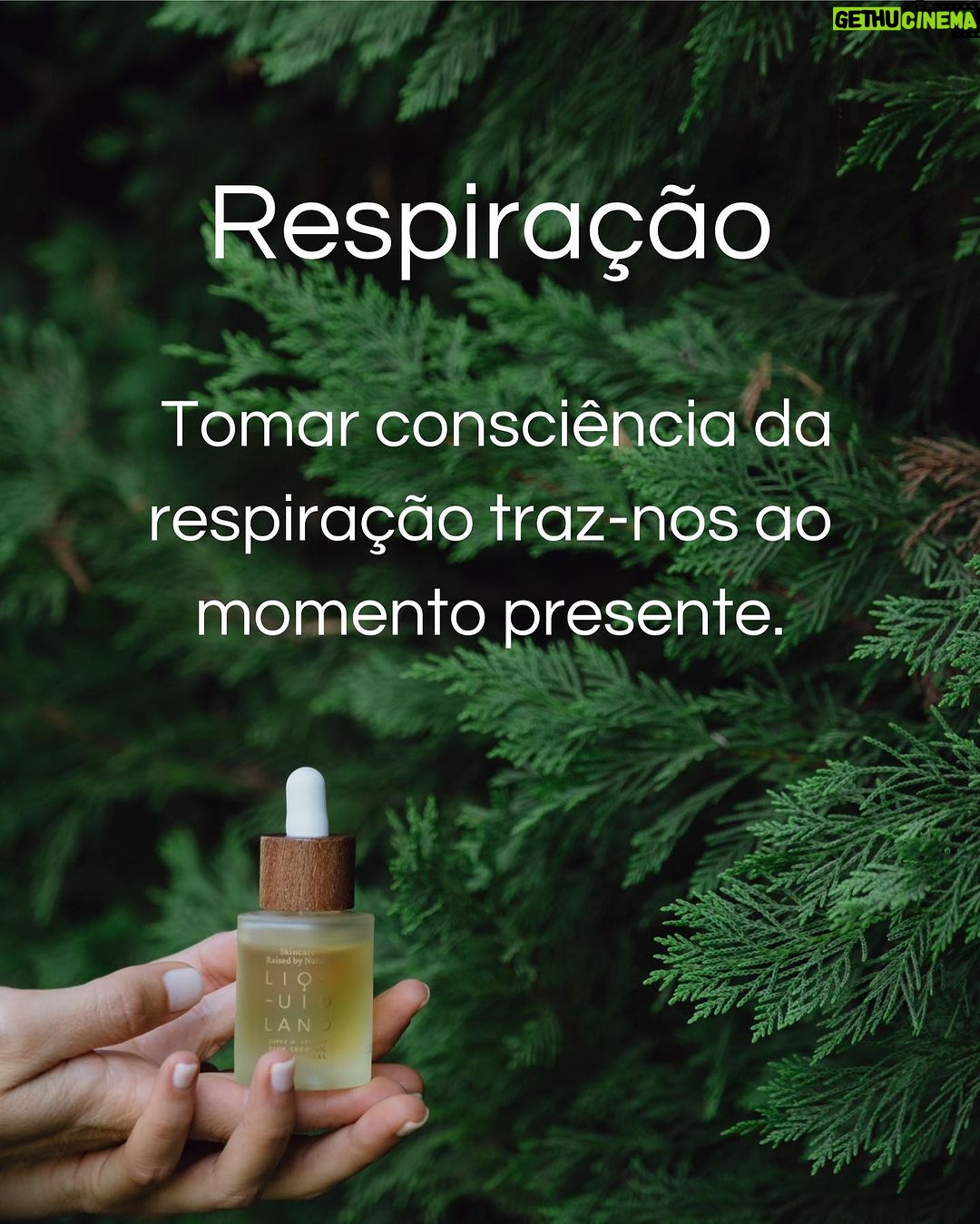Vera Kolodzig Instagram - Há uns anos atrás sentia-me muito insegura e com fraca autoestima. Não gostava muito de mim e fazia tudo para agradar, colocando muitas vezes as necessidades dos outros à frente das minhas. Isso às vezes reflectia-se também em timidez que era depois confundida com arrogância ou mau feitio. Nem sempre fui uma pessoa positiva. Percebi nos últimos anos que a felicidade dá trabalho e começa dentro de nós. E ser feliz não significa que estou sempre bem, significa apenas que vivo de forma mais consciente. A felicidade para mim é como o céu azul que está sempre lá, apesar das nuvens que passam. A @liquidland_ ,desafiou-me a partilhar 5 dicas para uma vida mais positiva: 🌿Respiração Tomar consciência da respiração traz-nos ao momento presente. Há que praticar para a sabermos usar nos momentos mais desafiantes. 🌿Apreciação Apreciar e agradecer as coisas simples potencia as nossas emoções positivas. Podemos fazer uma lista de gratidão ou simplesmente agradecer as pequenas coisas do nosso dia-a-dia. 🌿Autocuidado Cuidar de nós fomenta a auto-estima e amor próprio. Os nossos rituais, como cuidar da pele, são um óptimo começo. 🌿Aceitação Aceitar o que não podemos mudar traz-nos paz e tranquilidade. 🌿Responsabilização Assumir responsabilidade sobre a nossa atitude permite-nos mudar o que está ao nosso alcance. Espero que estas dicas te permitam começar a viver de forma mais positiva. Este óleo natural está disponível na minha loja em kologica.com com 30% de desconto até dia 4 de agosto. Aproveitem! . . . #pub #liquidland #autocuidado #selfesteem #vidapositiva #kologicadevida
