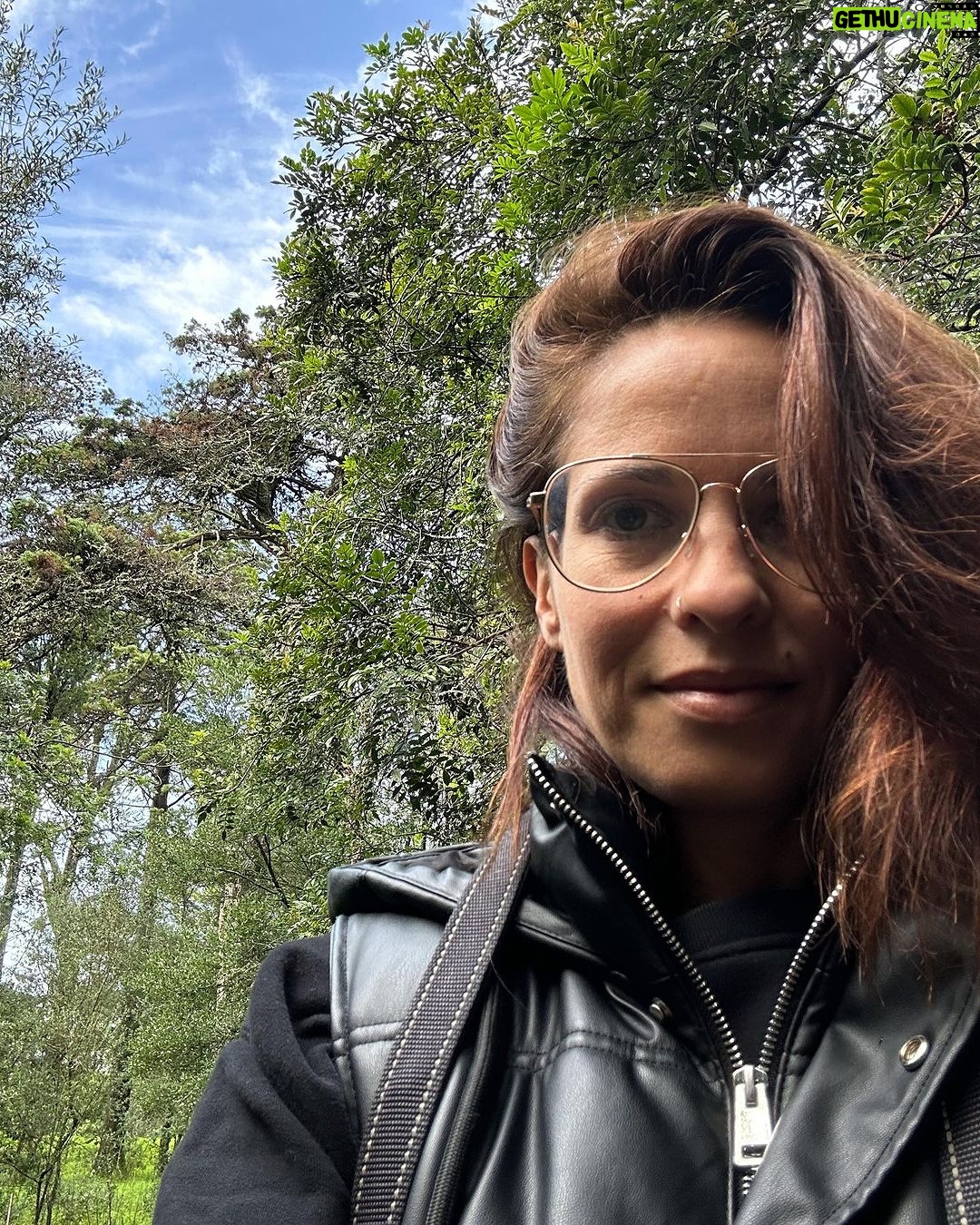 Vera Kolodzig Instagram - Detalhes de uma manhã tranquila. 🍃🌳 . . . #manhas #caminhada #floresta #natureza #naturewalk #morningwalk #naturelover
