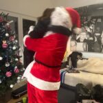 Vera Kolodzig Instagram – O melhor Natal de sempre ❤️. 
Ontem veio-me à cabeça uma frase em forma de insight: temos o poder de escolher criar as nossas próprias memórias felizes. 
A minha família nunca foi muito natalícia. Não tenho propriamente memórias felizes desta altura do ano, e menos felizes se tornaram com perdas numa data tão próxima (o meu pai e avó partiram no dia 21 de Dezembro com 13 anos de diferença). Na minha primeira véspera de Natal sem Mateus, após a minha separação, tinha ele 2 anos, cheguei a casa dos meus familiares ao fim da tarde e ainda não havia uma mesa posta. Também só havia pratos de carne, que eu já não comia há algum tempo, porque cancelaram o prato vegetariano já que “ninguém” ía comer. Olhei em volta e vi uma família como tantas outras, de televisão ligada e desconectados uns dos outros. A minha vontade e expectativa idílica de família unida caiu por terra, com a agravante de ser o meu primeiro Natal sem filho. A partir daí decidi que queria criar boas memórias para mim e para o Mateus e passei a fazer os Natais na minha casa. Encomendo e preparo a melhor comida, ponho a melhor mesa, crio a melhor fantasia à volta do pai Natal. 
Ontem foi incrivelmente especial. O Mateus esteve a tarde toda a ensaiar um espectáculo de magia que apresentou quando todos chegaram 😍 O número final consistia em sombras ao som da música preferida do meu pai ❤️
Servi o jantar e antes de começarmos a comer pedi um brinde aos 15 anos sem papá, 2 anos sem avó, e primeiro ano com o meu irmão depois de tantos anos na Alemanha (o primeiro que passou com o sobrinho). Não me alonguei porque o Mateus pediu para eu parar quando ouviu a minha voz trémula de emoção. Coloquei na mesa um baralho de perguntas profundas e falámos sobre assuntos que nunca tínhamos tocado: aventuras, sonhos, zonas de conforto e desconforto.
Consegui. Criei uma memória feliz. Rimos muito, quase chorámos, agradecemos, brincámos.
Agora é hora de levar o Mateus ao seu próximo Natal e o meu… Hoje, o meu será como há muitos anos – na casa da família que escolhi: amigos muito próximos. ❤️
Viva ao Natal e ao poder de criar memórias felizes!! Feliz Natal a todos!
#natal #natal2023 #memoriasfelizes