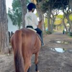 Vera Kolodzig Instagram - Sobre a quebra de padrões: Cresci a ouvir a minha mãe dizer que o super homem ficou paraplégico porque caiu de um cavalo. Um pouco trágico eu sei, mas era a forma da minha mãe me proteger de uma actividade que considerava perigosa, com a melhor das intenções. Claro que desenvolvi um medo de cavalos até hoje, que já reconheci na minha irmã também, que cresceu sob as mesmas palavras. Quando me convidaram para fazer a novela Espírito Indomável em 2010 tremi ao pensar que teria de montar. Não queria recusar aquela personagem tão rica e descansaram-me dizendo que iria ter aulas. Tive 5 ao todo antes de começar a gravar, o que obviamente não foi suficiente para ganhar confiança e autonomia em cima do cavalo. Começámos a gravar no sul do Brasil e quando lá cheguei tudo me pareceu mais fácil: os cavalos eram bem mais baixinhos e “conduzi-los” era como usar um joystick. Aparentemente não são treinados da mesma forma. No Brasil com as rédeas numa só mão, conseguia galopar por entre os bois e as vacas segura e confiante. E usei gatilhos mentais na construção de personagem que abafavam o meu medo quando fazia de “Zé”. Voltei e foi-me designado o cavalo mais manso que havia. Ao longo de 7 meses consegui montá-lo com confiança. Quando a meio da novela me trocaram o cavalo apanhei um susto e passei a fazer as cenas com o cavalo à mão. O Mateus agora quer fazer equitação. Tremi um pouco com a ideia, mas encho-me de orgulho quando o vejo feliz e confiante. Ainda tenho a voz da minha mãe a ressoar na minha cabeça, mas tenho a consciência de não lhe incutir esse medo para que ele possa finalmente quebrar este padrão familiar. A segunda foto foi em contexto de gravações. Já consigo andar a passo e desfrutar dos passeios. Há medos que não se explicam mas há outros que se explicam muito bem. Ainda não venci o meu por completo mas no que depender de mim, o Mateus não desenvolverá o mesmo. Tens consciência de que medos te foram incutidos? . . . @woodstables #quebradepadrao #equitacao #montar #cavalos #medos #kologica #parentalidade #parentalidadeconsciente