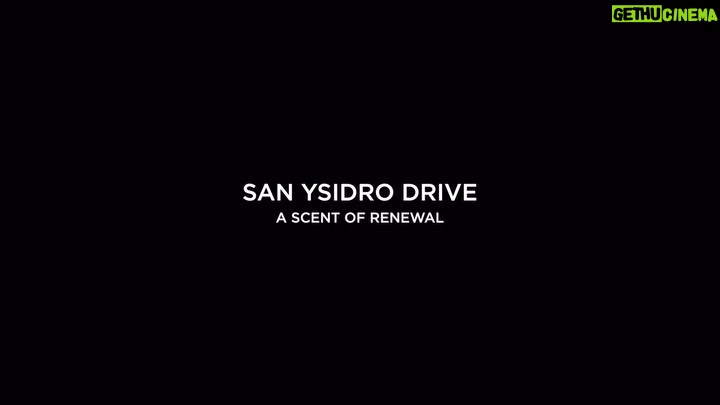 Victoria Beckham Instagram - MY SCENT AUTOBIOGRAPHY CHAPTER 3 ... San Ysidro Drive represents a time of reflection. LA was such a special time for me professionally with the beginning stages of creating my brand, and personally, LA holds such beautiful memories for me, of time with the children and a new adventure for David. I miss LA ... but this scent always takes me back xx @VictoriaBeckhamBeauty #VBFragrance