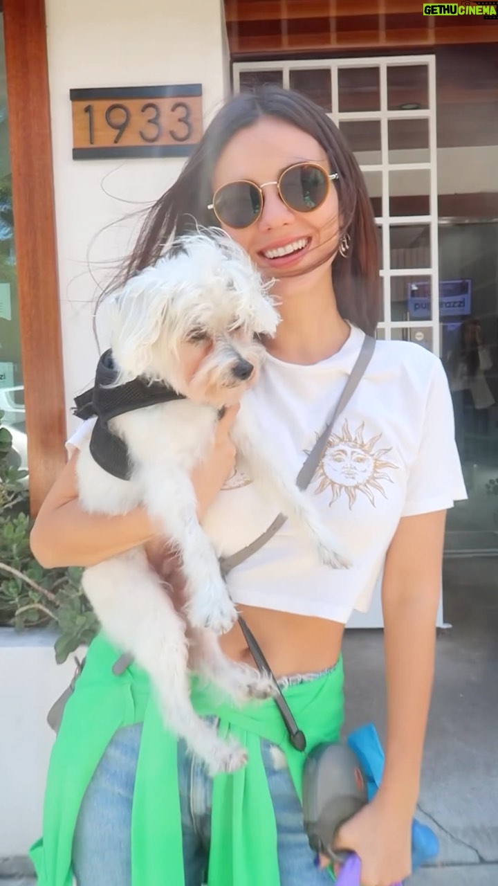 Victoria Justice Instagram - Pampered my sweet Sammy at @puparazzi_losangeles !! Such a fun day. Even though he’s a 14 year old little man, he’ll always be my puppy 🥰🙏🏼